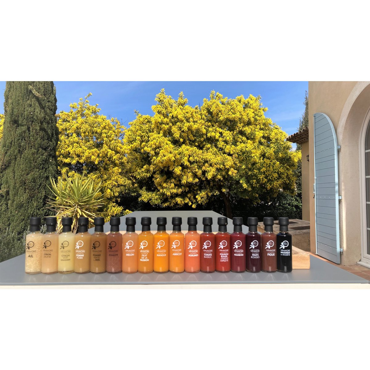 Fruitazijnen 100ml Villaret Alain